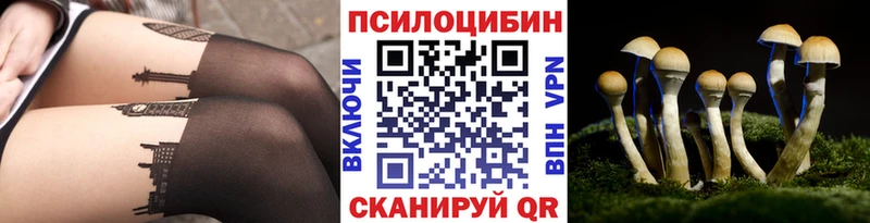 Псилоцибиновые грибы мухоморы  Жуковский 