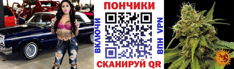 Бошки марихуана THC 21%  закладка  Жуковский 